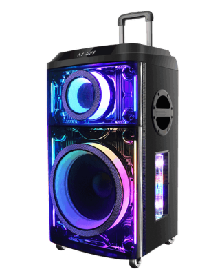 OVPS200H Karaoke Bluetooth Hoparlör 200W - Onvo